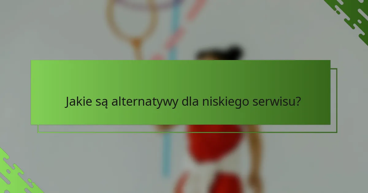 Jakie są alternatywy dla niskiego serwisu?